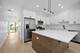 70 E Pershing Unit 4W, Chicago, IL 60653