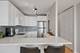 3930 N Pine Grove Unit 1606, Chicago, IL 60613