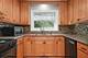 318 Brittain, Grayslake, IL 60030