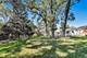 1121 Forest, Elgin, IL 60123
