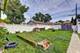 1505 S Highland, Berwyn, IL 60402