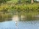 2068 Canyon Creek Unit 2068, Aurora, IL 60503