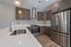 4152 S Prairie Unit 1, Chicago, IL 60653