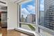 401 N Wabash Unit 31G, Chicago, IL 60611