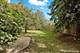 691 N Autumn, Lindenhurst, IL 60046