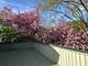 245 Little John, Bartlett, IL 60103