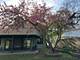 245 Little John, Bartlett, IL 60103