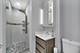 1041 Vernon, Park Ridge, IL 60068
