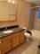 9631 Brandy Unit 7, Des Plaines, IL 60016