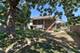 9760 S Dobson, Chicago, IL 60628