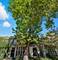 1412 E Rochdale, Chicago, IL 60615