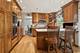 1102 E Waverly, Arlington Heights, IL 60004