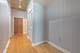1305 S Michigan Unit 1706, Chicago, IL 60605