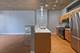 1305 S Michigan Unit 1706, Chicago, IL 60605