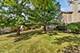 519 Shagbark, Elgin, IL 60123