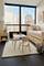 910 N Lake Shore Unit 1620, Chicago, IL 60611