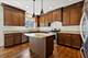 355 W First, Elmhurst, IL 60126