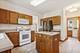 13232 S Bayberry, Plainfield, IL 60544