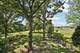 1304 Dunleer, Mundelein, IL 60060