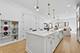 2331 W Montana, Chicago, IL 60647