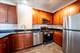 1155 W Roosevelt Unit 503, Chicago, IL 60608