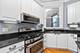 734 W Briar Unit 3, Chicago, IL 60657