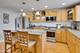 3120 N Christiana, Chicago, IL 60618