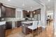 1134 W Addison, Chicago, IL 60613