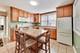 4544 N Mulligan, Chicago, IL 60630