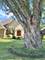 114 Riverview, Oswego, IL 60543