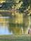 114 Riverview, Oswego, IL 60543