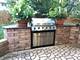 8138 N Carrolton, Hanover Park, IL 60133
