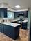 160 Camelot, Bolingbrook, IL 60440