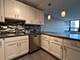 5100 N Marine Unit 19J, Chicago, IL 60640