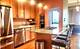 1530 S State Unit 17R, Chicago, IL 60605