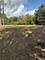 6421 Collier, Long Grove, IL 60047