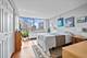 5701 N Sheridan Unit 10Q, Chicago, IL 60660