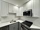 1224 W Rosemont Unit GDN, Chicago, IL 60660