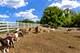 7830 N Pillow Hill, Spring Grove, IL 60081
