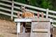 7830 N Pillow Hill, Spring Grove, IL 60081