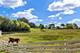 7830 N Pillow Hill, Spring Grove, IL 60081
