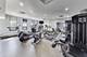 1255 S State Unit 917, Chicago, IL 60605