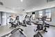1255 S State Unit 917, Chicago, IL 60605