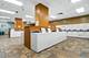 211 E Ohio Unit 1211, Chicago, IL 60611