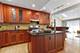 244 N Jackson, Clarendon Hills, IL 60514