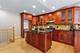 244 N Jackson, Clarendon Hills, IL 60514