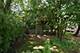 45 Salt Creek, Roselle, IL 60172