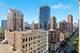 1111 S Wabash Unit 1508, Chicago, IL 60605