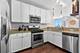 1111 S Wabash Unit 1508, Chicago, IL 60605
