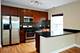 1609 W Farwell Unit 2, Chicago, IL 60626